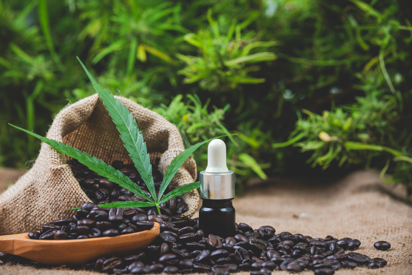 The New Luxury of Wellness: Why Premium Hemp Is Replacing Alcohol for Modern Relaxation