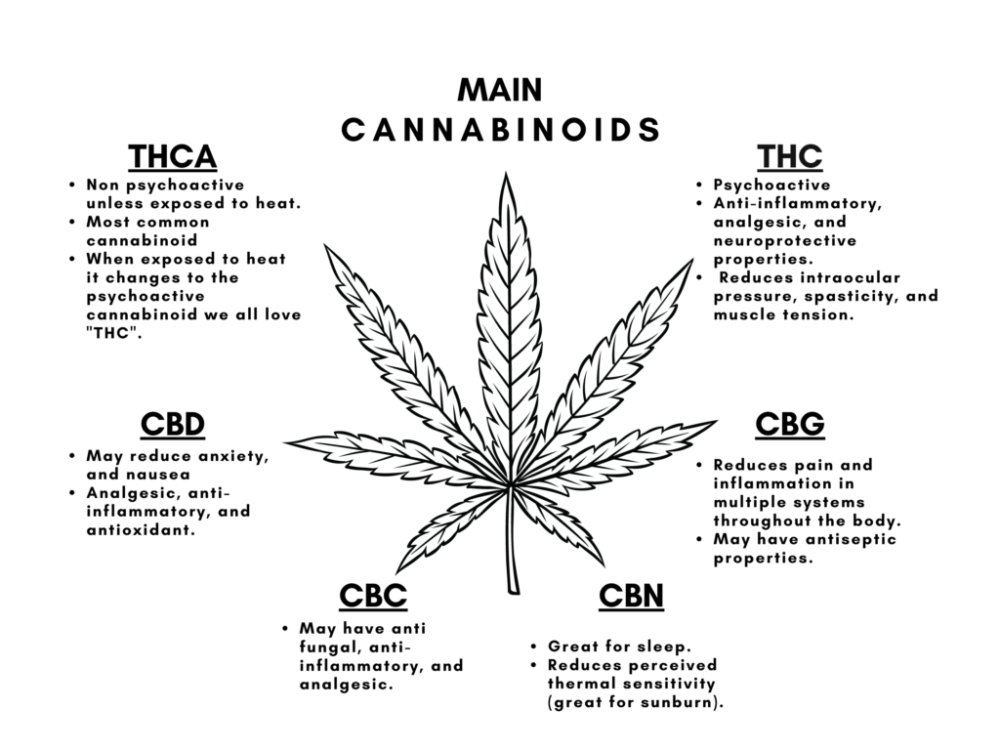 About Cannabis